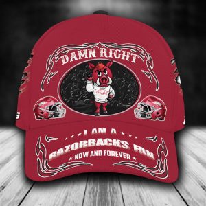 Personalized Arkansas Razorbacks Mascot Damn Right 3D Classic Baseball Cap CGI1356