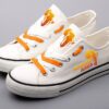 African Shoes African Elephant Low Top Canvas Sneakers ELT1101
