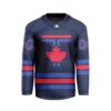 MLB Toronto Blue Jays Personalized City Connect Style Hockey Jersey